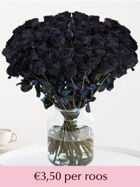 100 tot en met 500 zwarte rozen