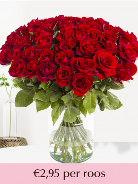 10 t/m 99 rode rozen - EverRed