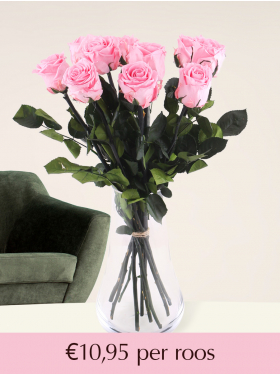 Roze long life rozen - Kies je aantal van 5 t/m 20