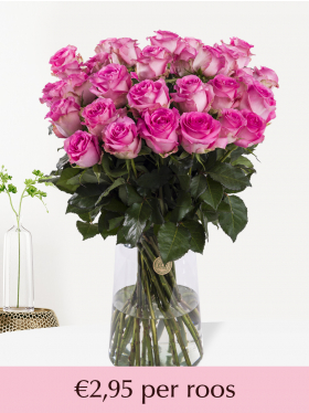 Roze rozen - Revival - 10 t/m 99 rozen
