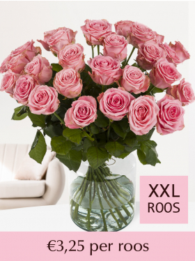 Kies je aantal roze rozen - Sophia Loren