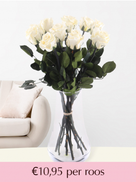 Witte long life rozen - Kies je aantal van 5 t/m 20