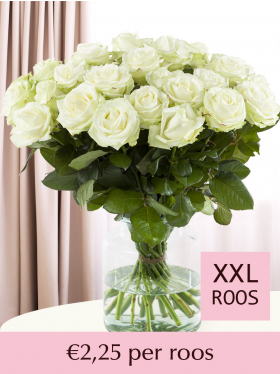 10 t/m 101 witte rozen