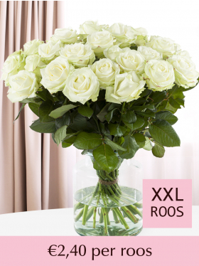 10 t/m 99 witte rozen