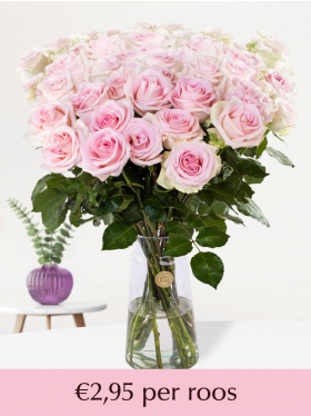 10 t/m 99 zachtroze rozen