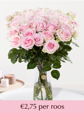 Zachtroze rozen - Sweet Revival | Valentinstag