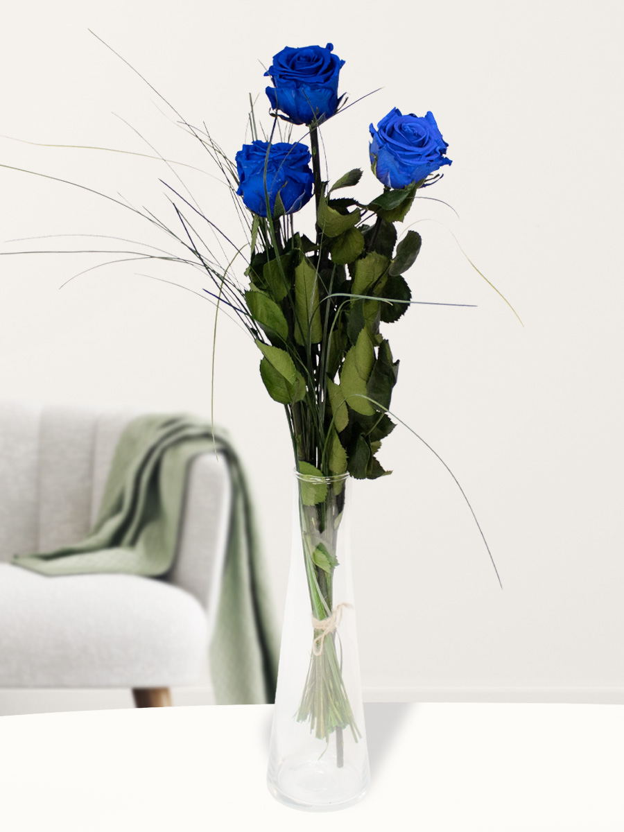 Drie blauwe long life rozen inclusief vaasje