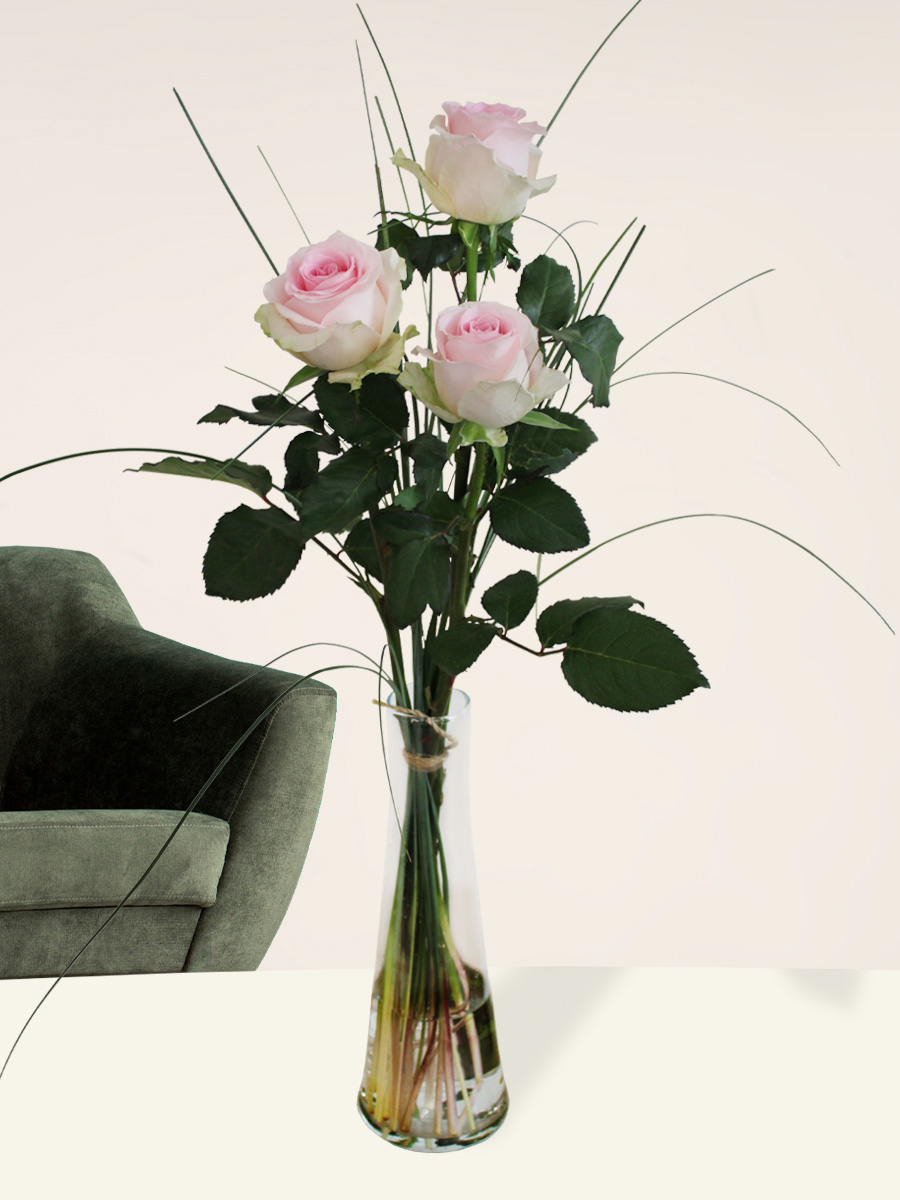 Drie roze rozen, inclusief vaasje - Sweet Revival