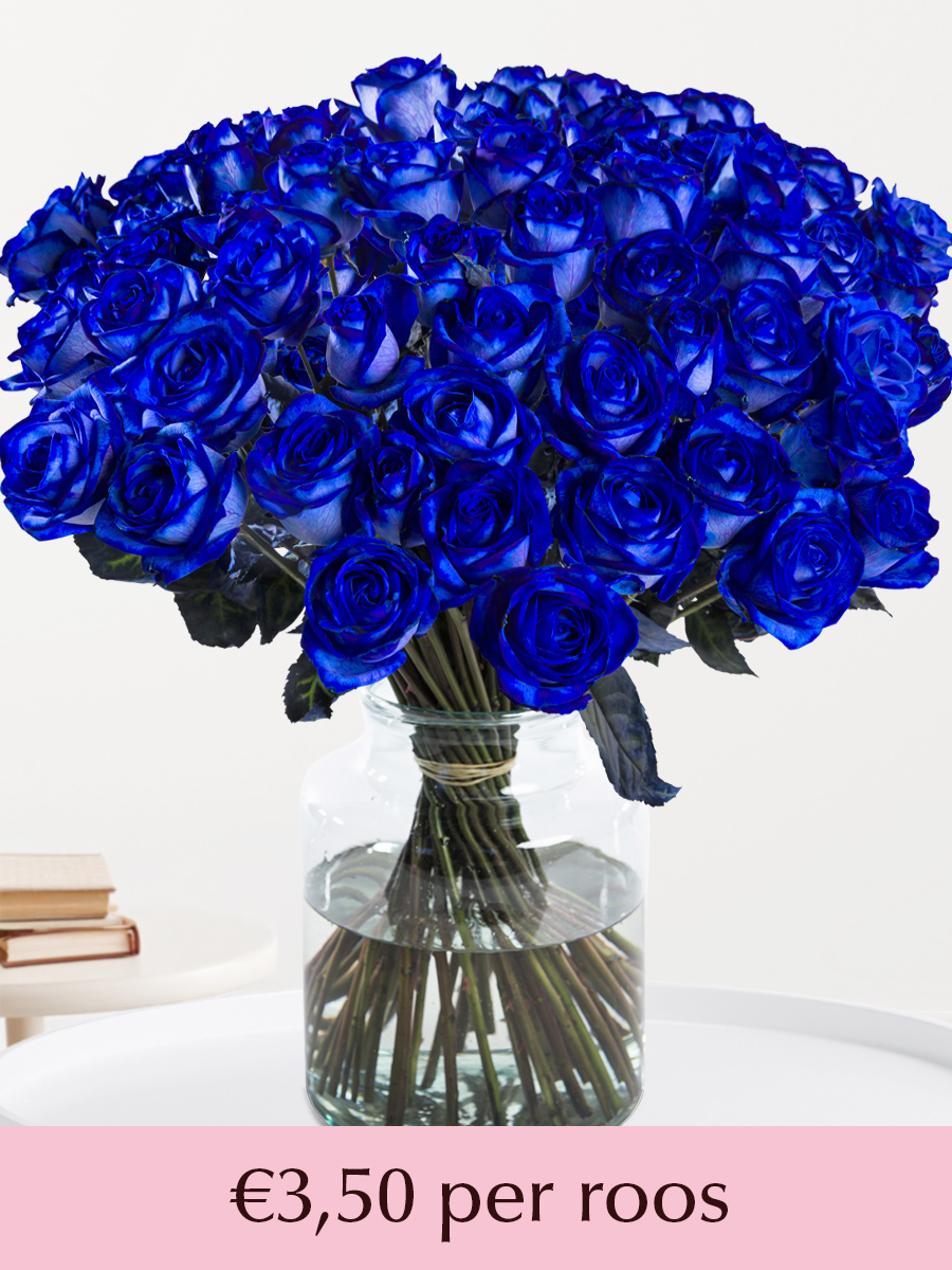 Blauwe rozen - XL rozen - 10 t/m 49 rozen afbeelding 1