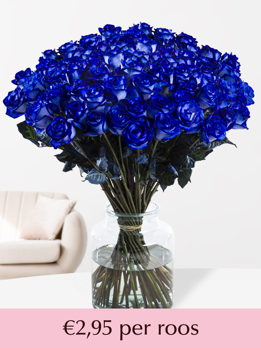 100 t/m 500 blauwe rozen afbeelding