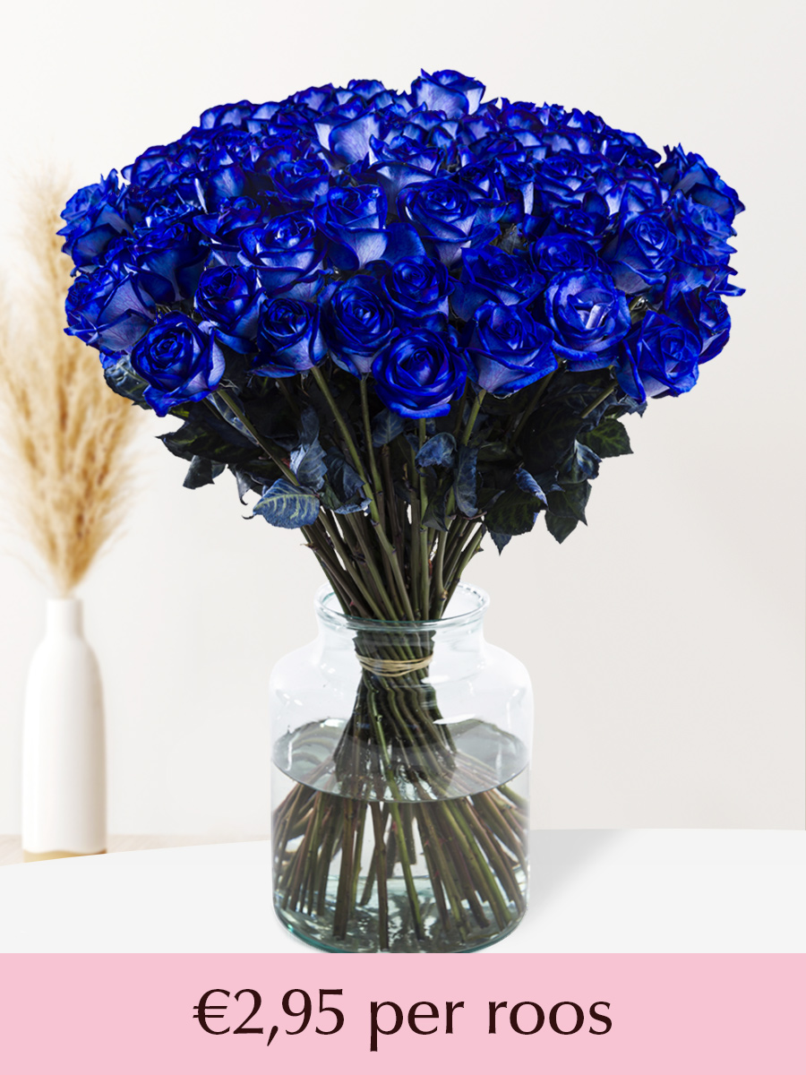 50 t/m 99 blauwe rozen - XL rozen afbeelding