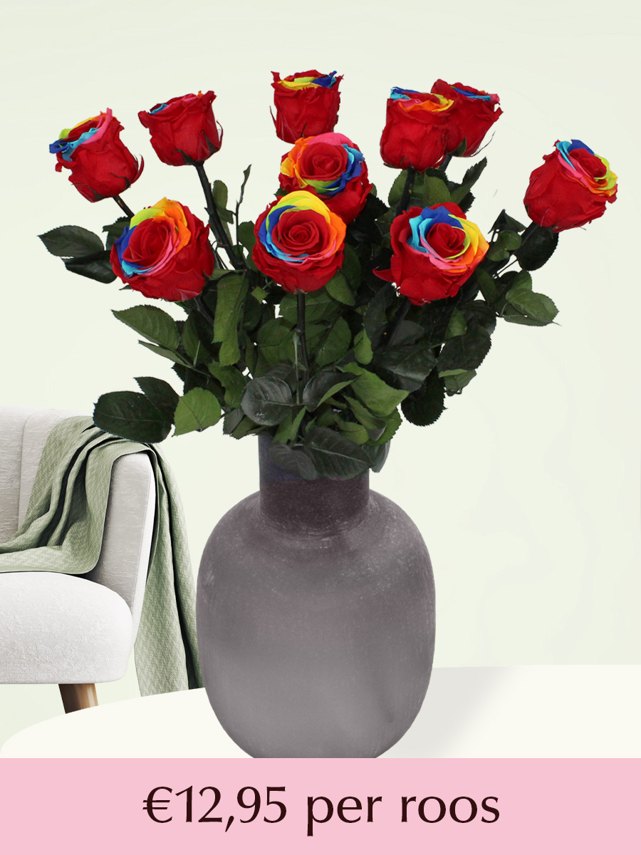 Regenboog long life rozen - Kies je aantal van 5 t/m 20