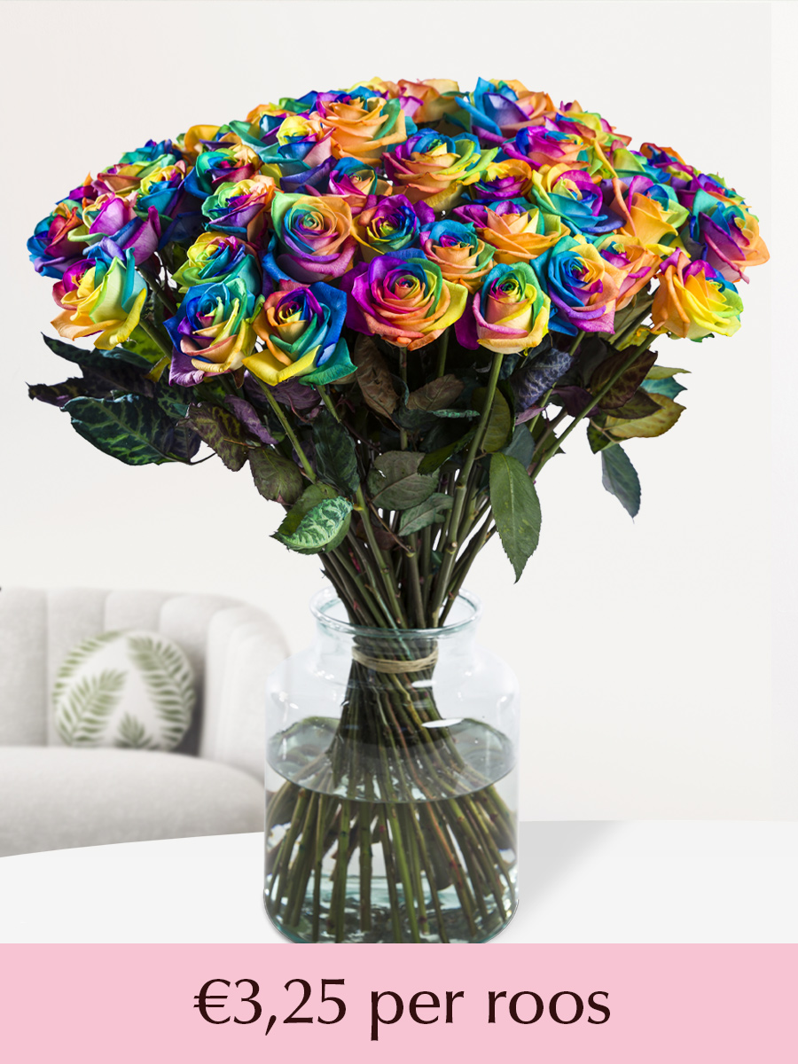 Regenboog rozen - Kies je aantal - 10 t/m 49 rozen afbeelding