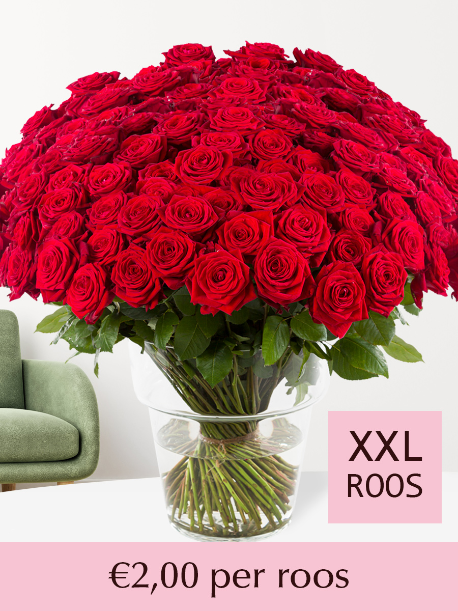 500 tot en met 1001 rode rozen - Red Naomi afbeelding