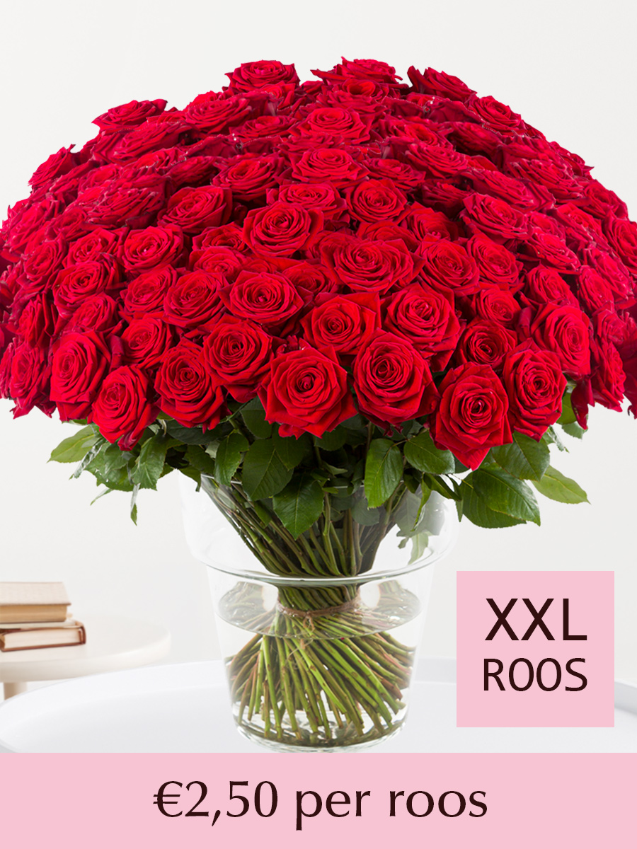 500 tot en met 1001 rode rozen - XXL rozen - Red Naomi afbeelding 1