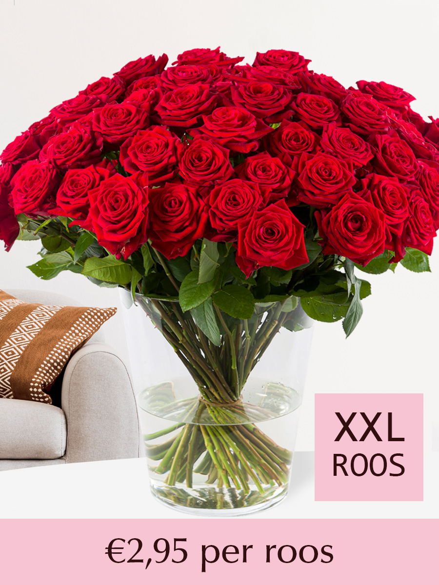 Rode rozen - Kies je aantal (Red Naomi) - 10 t/m 99 rozen - XXL rozen 65 cm afbeelding