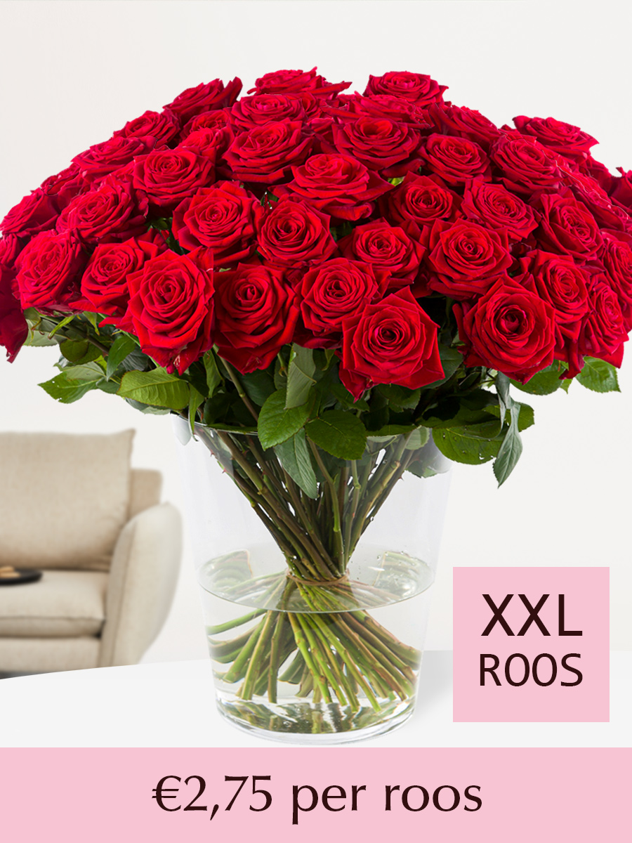 Rode rozen - Kies je aantal (Red Naomi) - 10 t/m 99 rozen - XXL rozen 65 cm