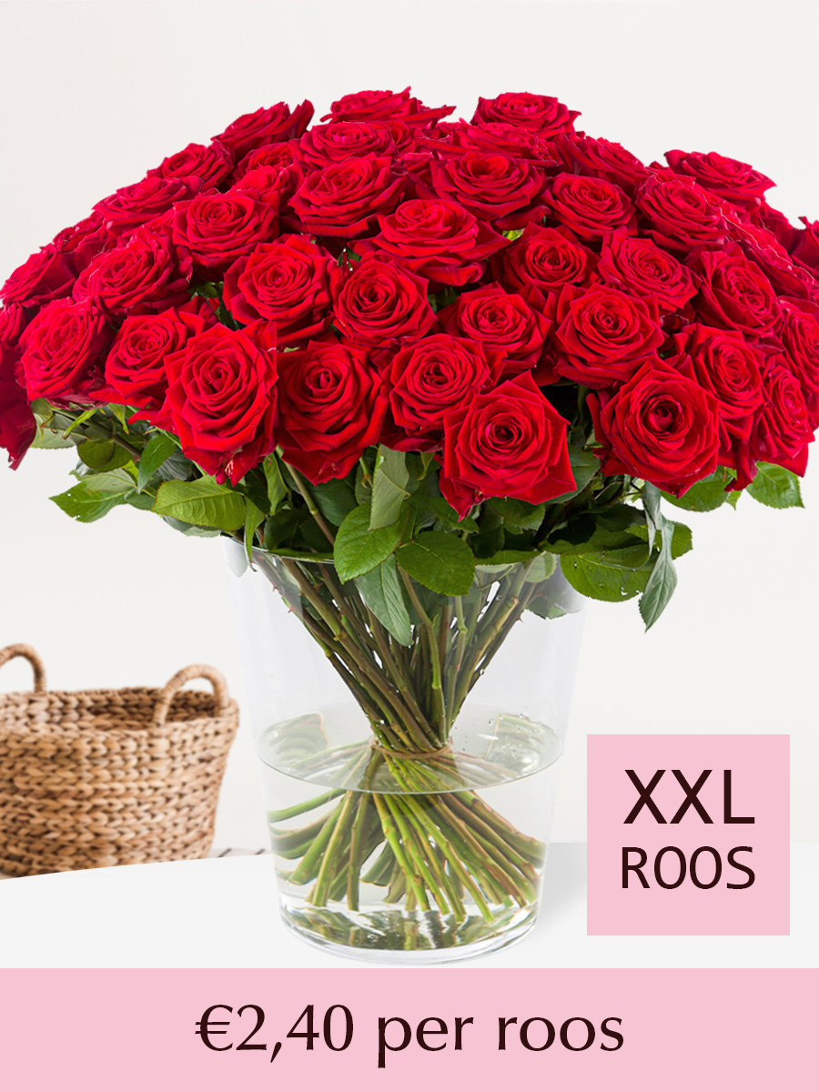 Rode rozen - Kies je aantal (Red Naomi) - 10 t/m 99 rozen - XXL rozen 65 cm afbeelding