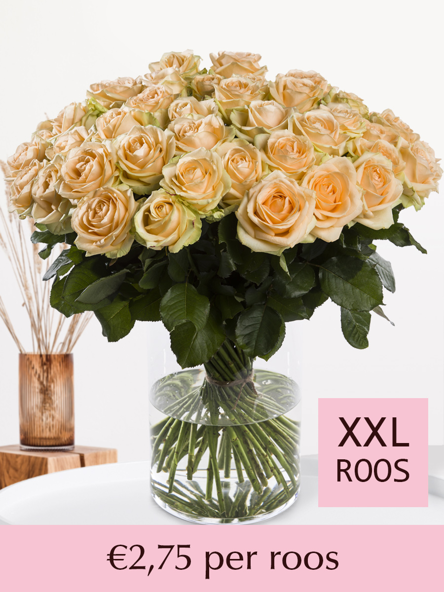 Zalmkleurige rozen - Kies je aantal - 10 t/m 99 rozen afbeelding 1