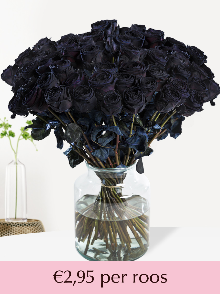 50 t/m 99 zwarte rozen afbeelding
