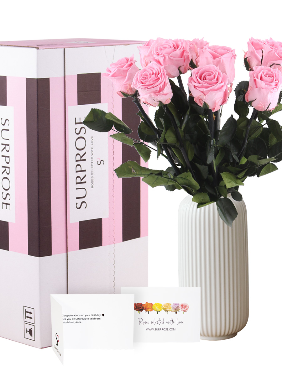 Zachtroze long life rozen - Kies je aantal van 5 t/m 20