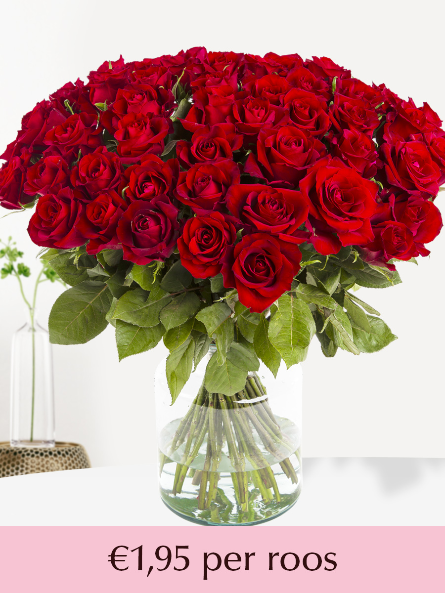 Rode rozen - XL rozen 60 cm - 10 t/m 99 rozen - EverRed afbeelding