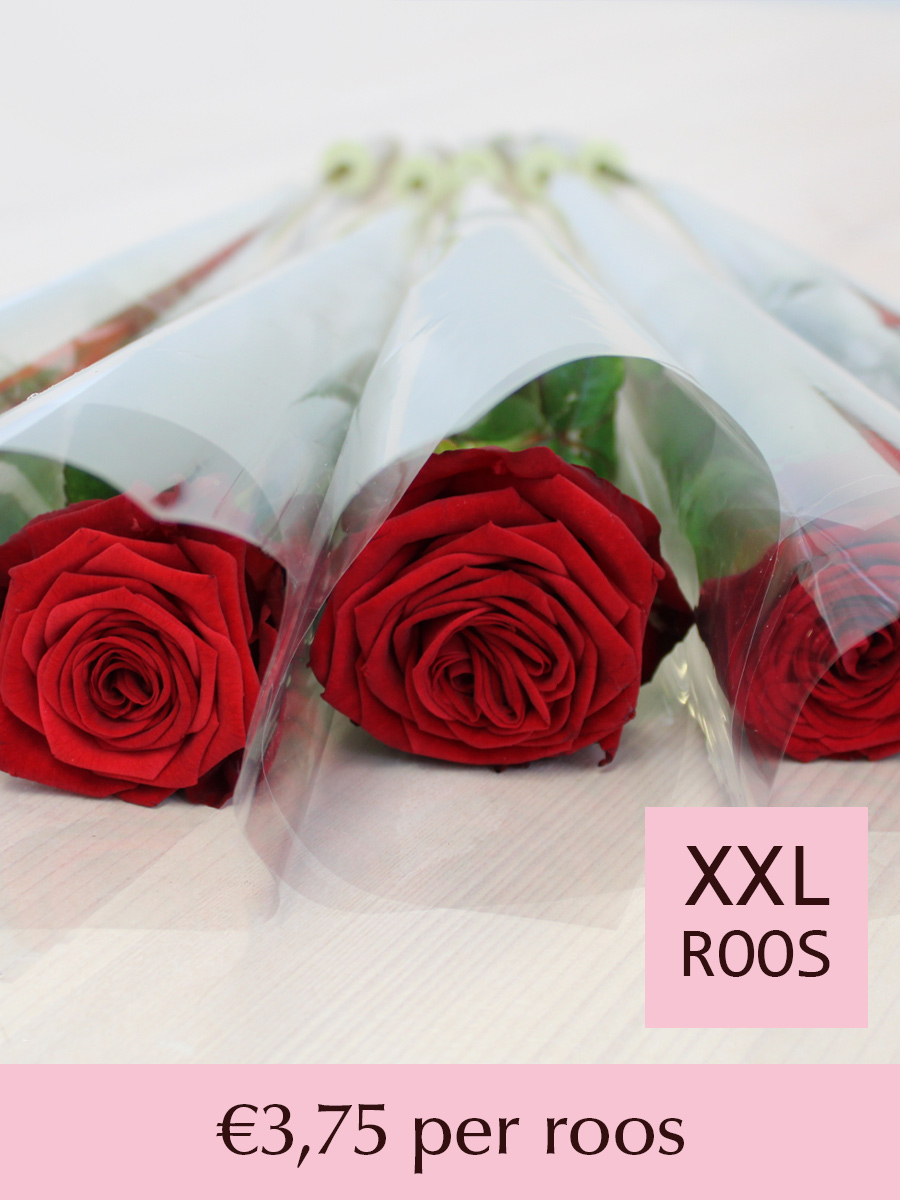 Rode rozen per stuk verpakt - Red Naomi - 10 t/m 99 stuks afbeelding 1