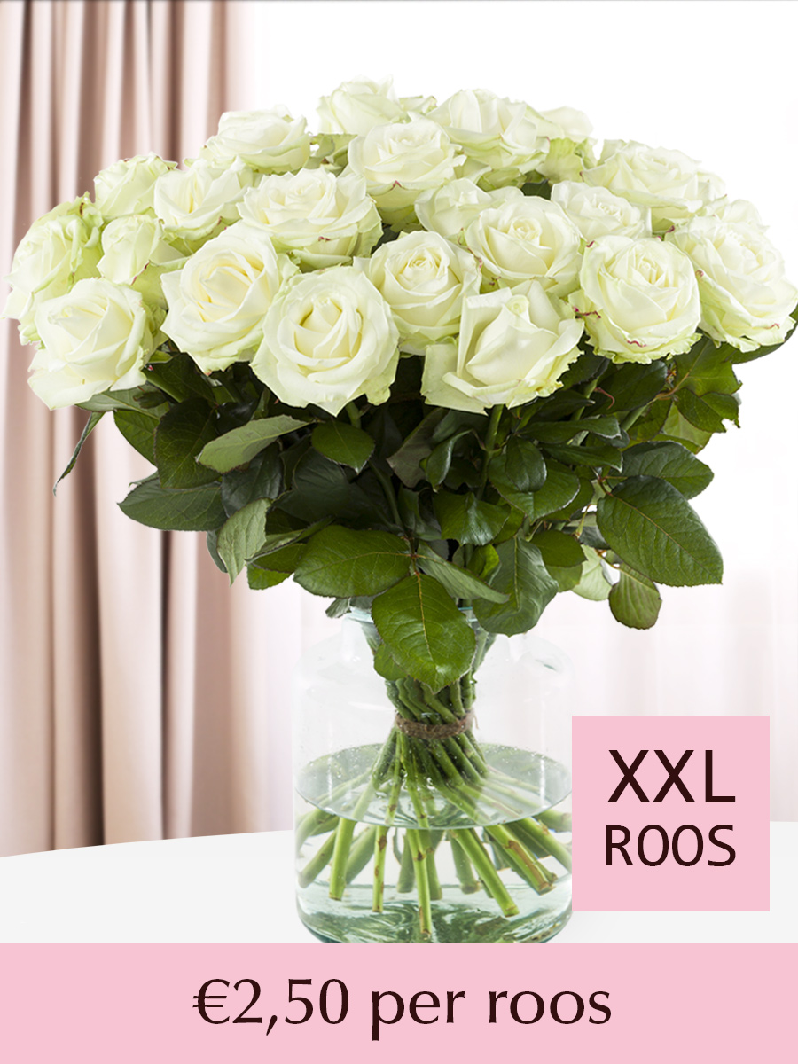 Witte rozen - Kies je aantal (Avalanche) - 10 t/m 99 rozen