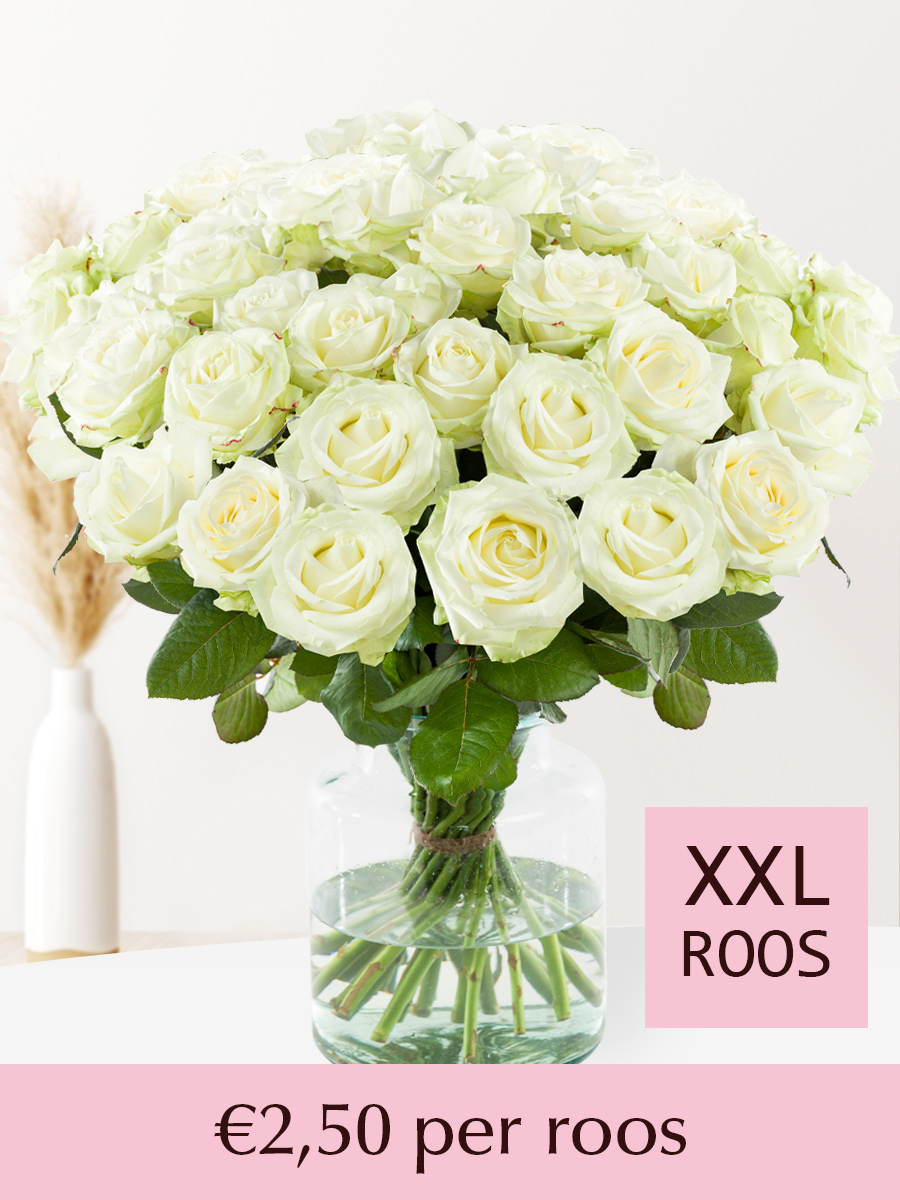 Witte rozen - XXL rozen - 10 t/m 99 rozen - Avalanche afbeelding