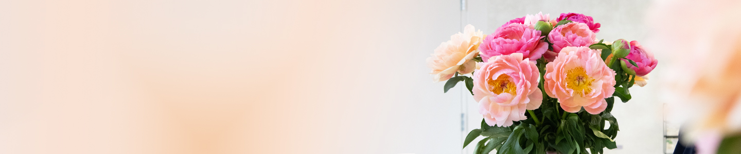 Bloeiende pioenrozen