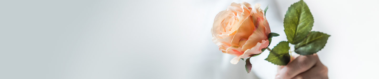 Rozensoort Dividend Rozensoort Dividend