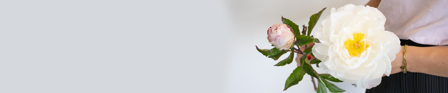 Rozensoort Gardenia Rozensoort Gardenia