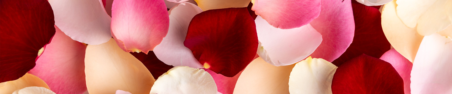 Symboliek van de kleur rozen