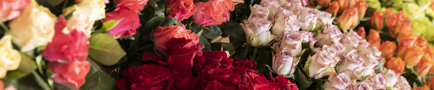 Kleurrijke boeketten Kleurrijke boeketten