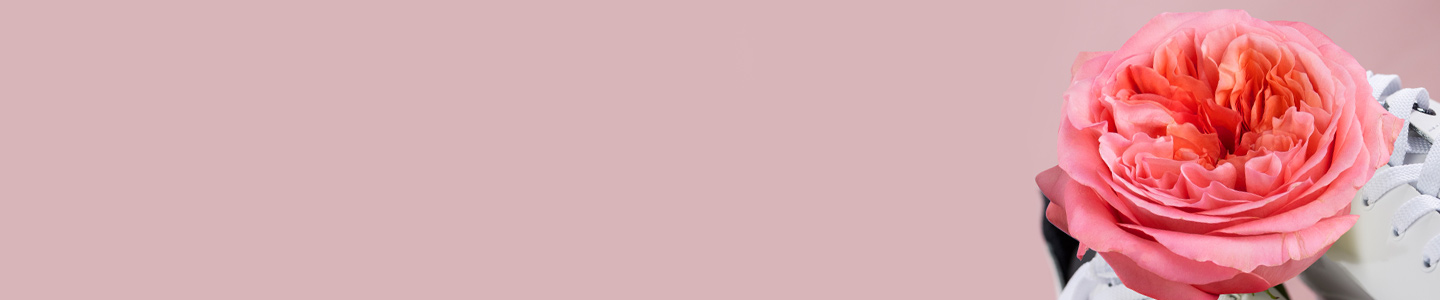Premium rozen