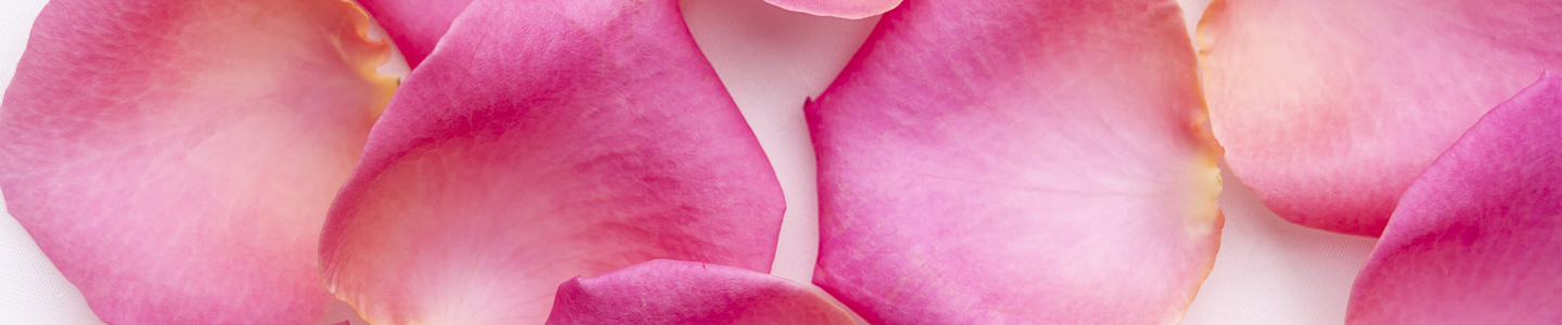 Rozenblaadjes strooien | DIY bloemenconfetti