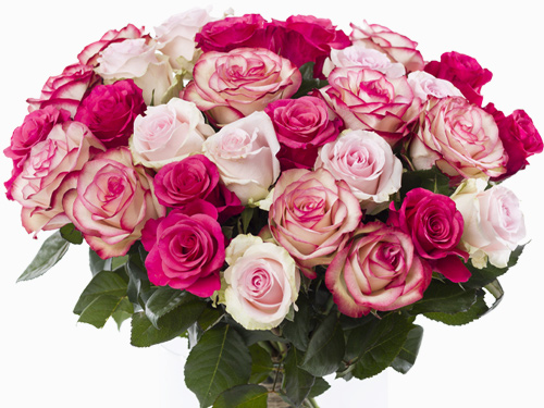 Roze rozenmix voor Moederdag