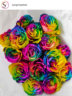 Instgram post: Regenboog rozen