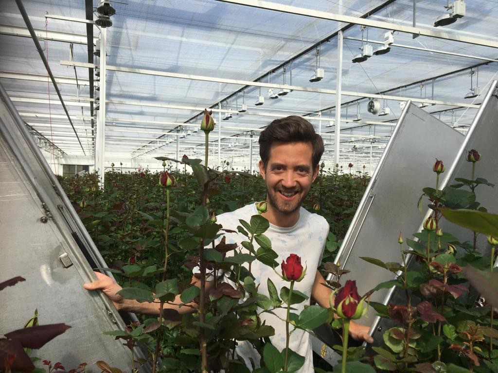 Kweker: Meewisse Roses
