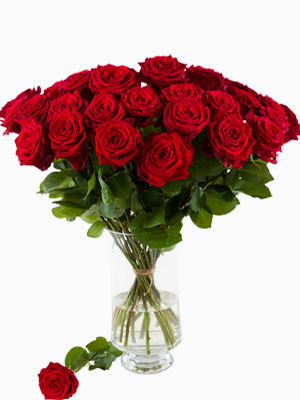 Rote Rosen Strauß