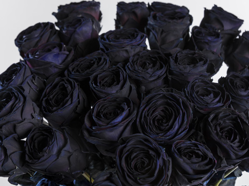 Zwarte rozen bestellen