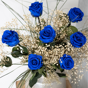 Blauwe long life rozen Blauwe long life rozen
