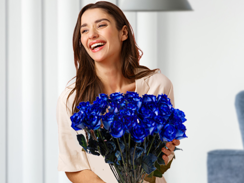 Blauwe rozen kopen