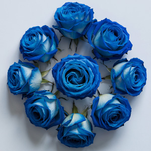 Blauwe rozen bestellen