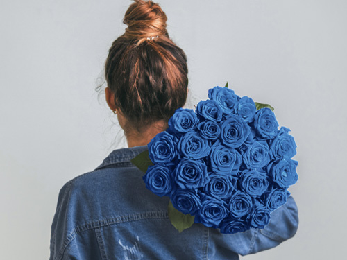 Blauwe rozen kopen