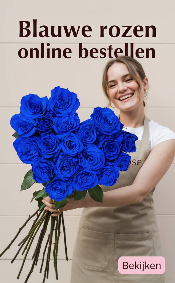 Blauwe rozen bestellen