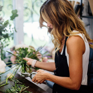 Rozenverzorging Rozenverzorging