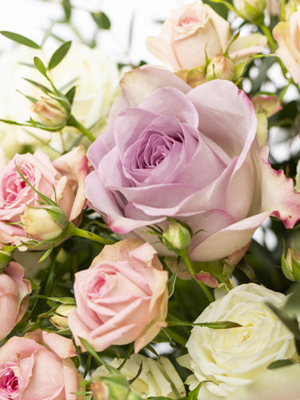 Bloemen maken blij Bloemen maken blij