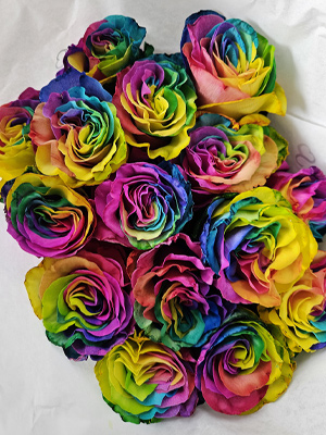 Boeket regenboog rozen