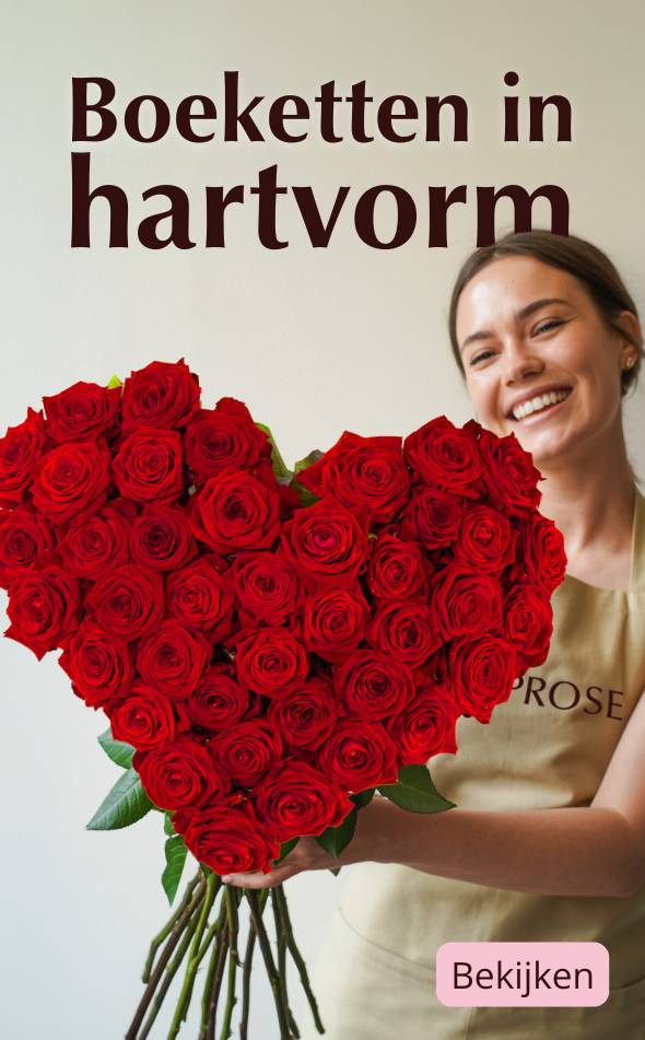 Rozen in hartvorm kopen Boeket rozen in hartvorm